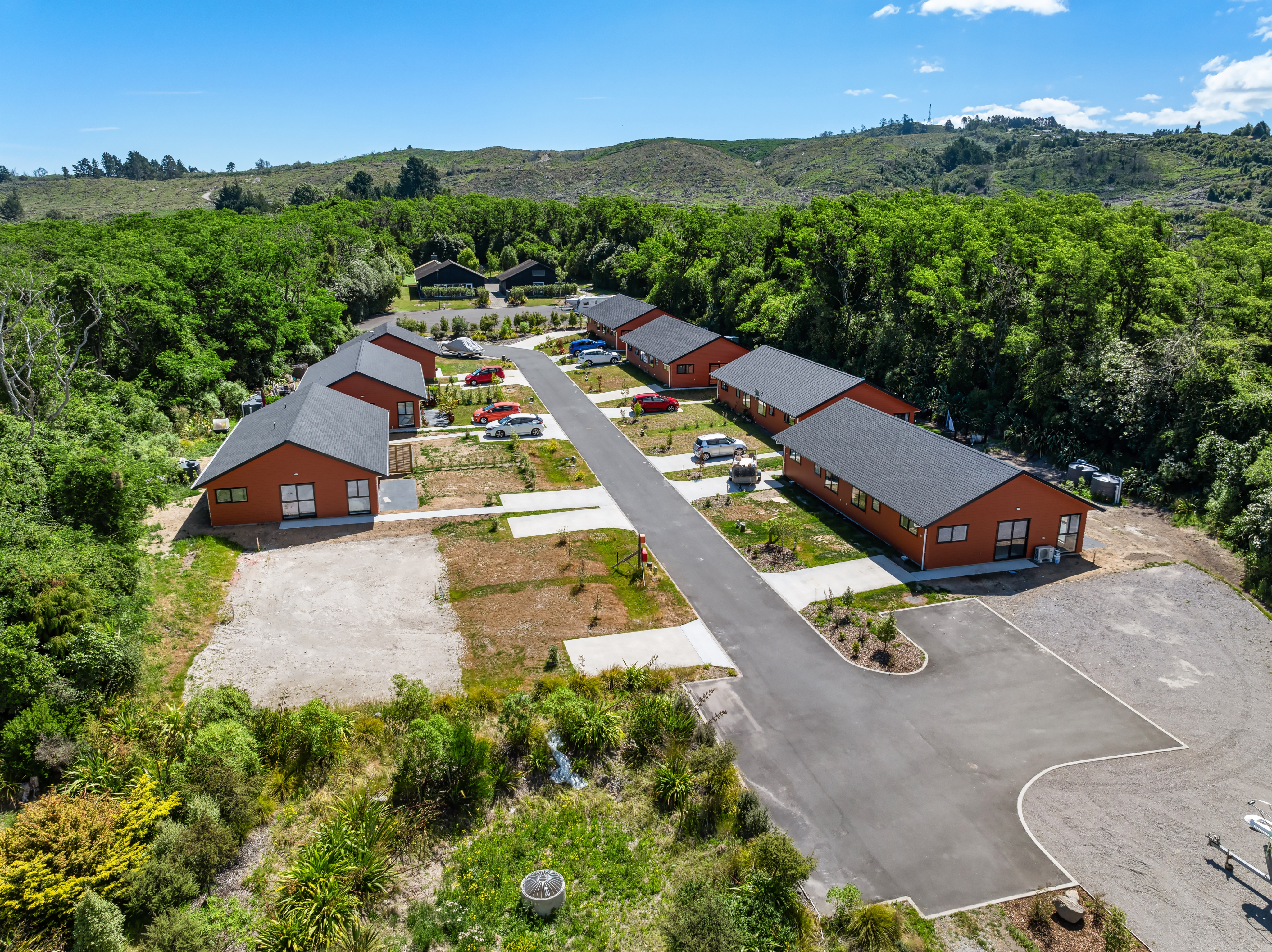 An eye-catching landscape of green.